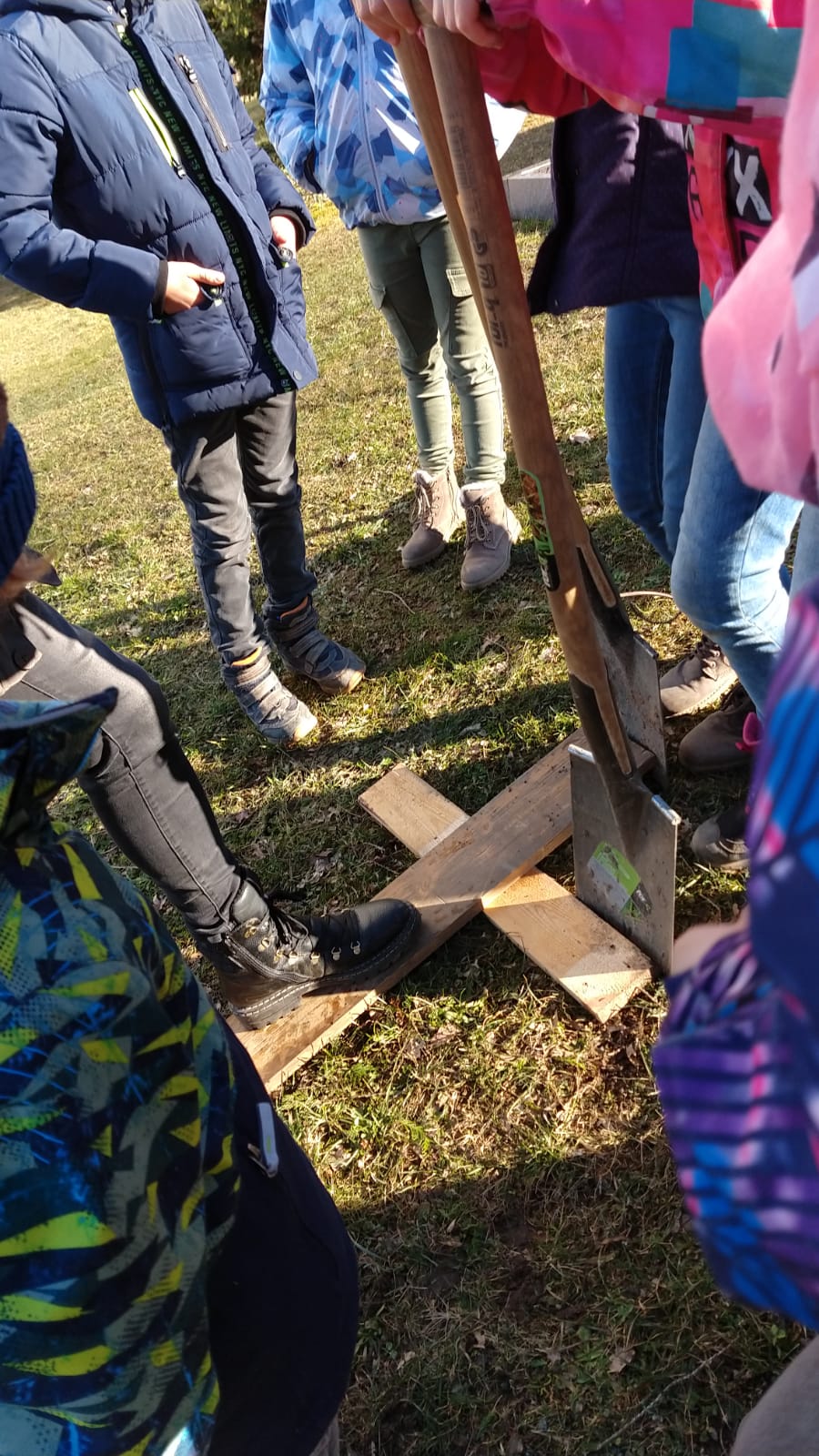 Ein Kreuz aus Frühblühern